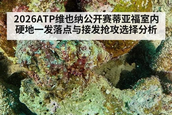 2026ATP维也纳公开赛蒂亚福室内硬地一发落点与接发抢攻选择分析